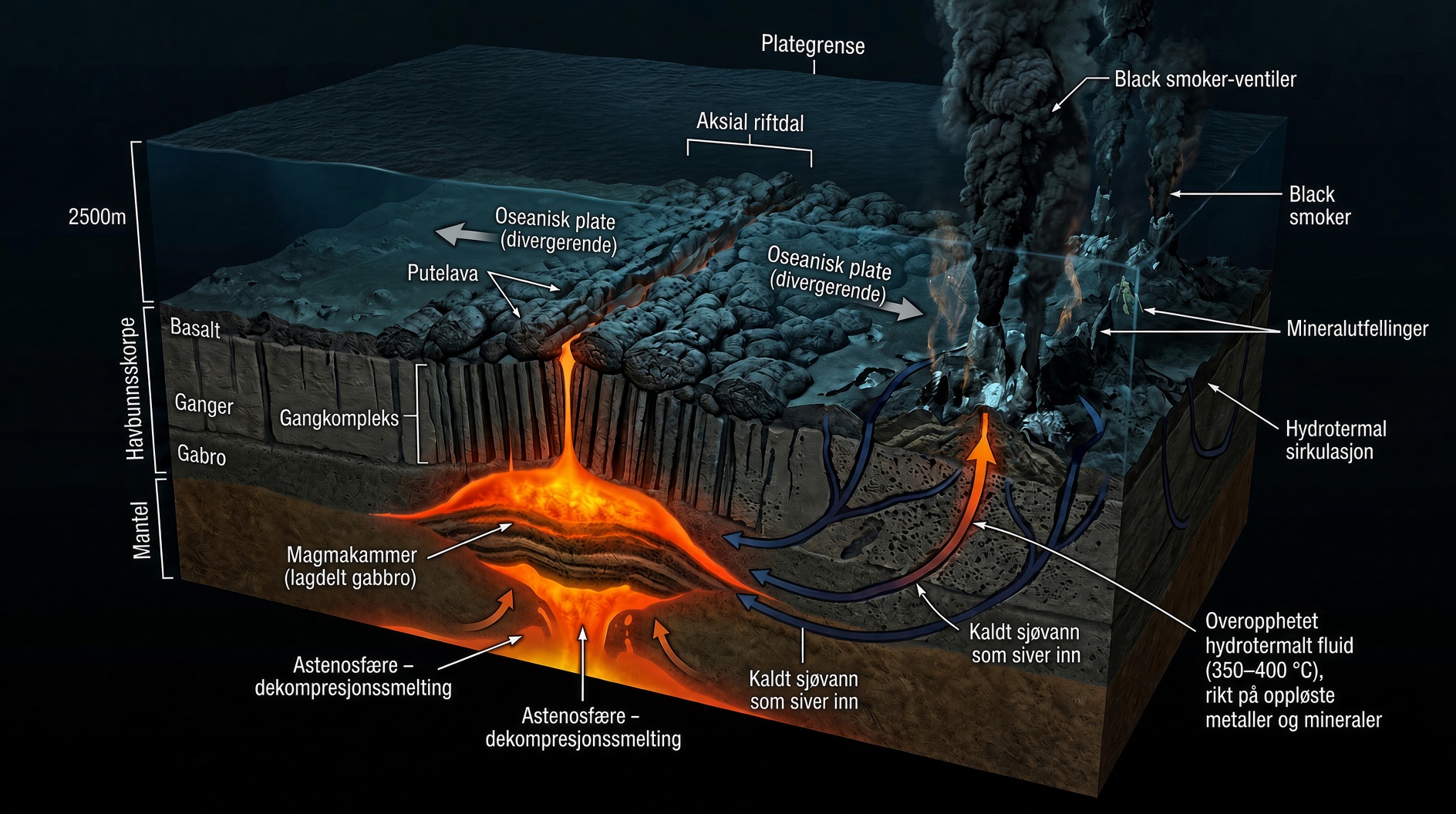 3D-snitt av midthavsrygg med dekompresjonssmelting, aksialt magmakammer, putelava og hydrotermale skorsteiner