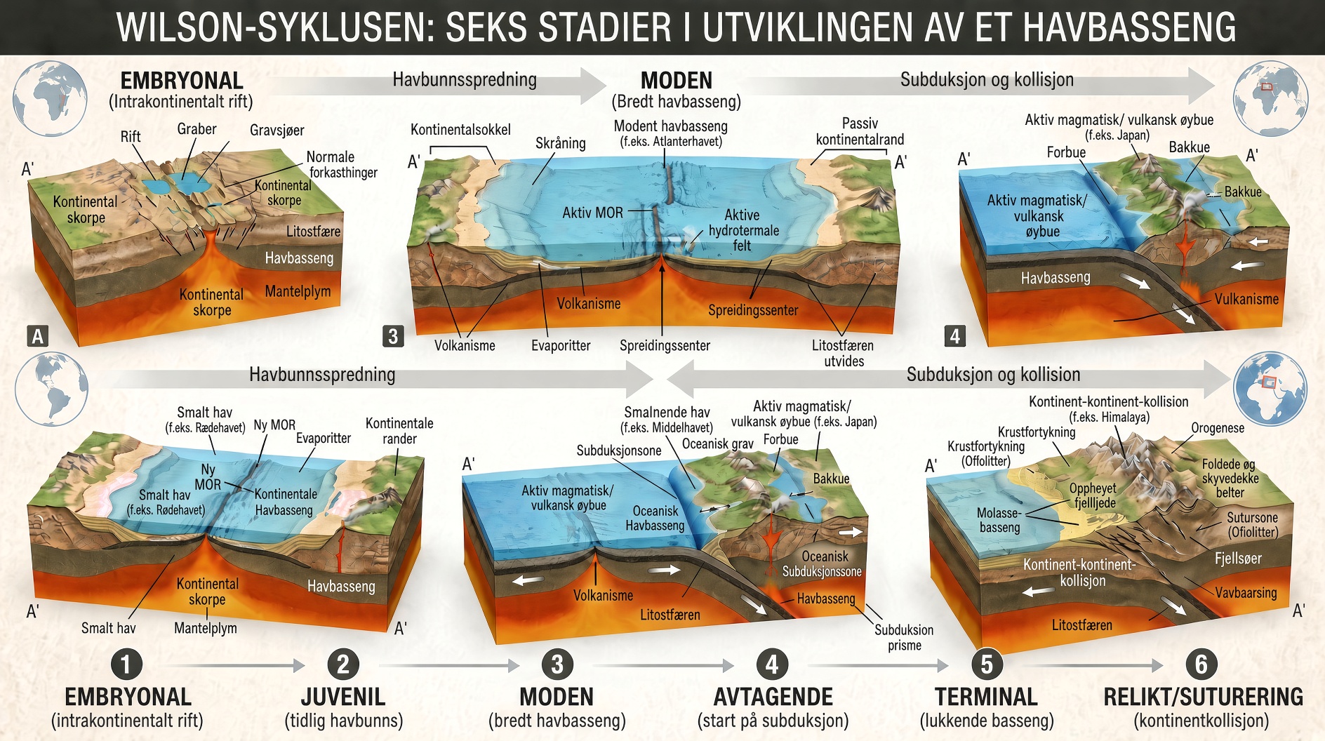 Wilsonsyklusens 6 stadier fra kontinental oppsprekking til havlukking og fjellkjededannelse